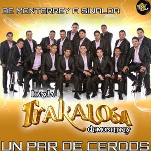 Álbum Un Par De Cerdos  de Banda La Trakalosa (Edwin Luna y La Trakalosa de Monterrey)