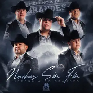 Disco Noches Sin Fin  de Herencia De Grandes