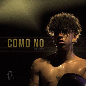 Álbum Como No de Micro TDH