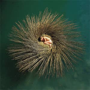 Álbum OVO de Peter Gabriel