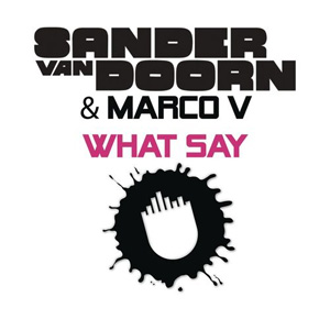 Álbum What Say de Sander Van Doorn